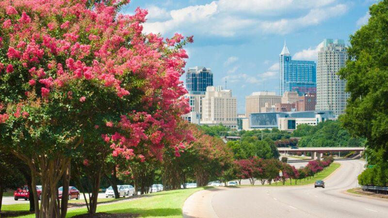 Exploring the Summer Real Estate Market in Raleigh and learn how to sell a home fast.